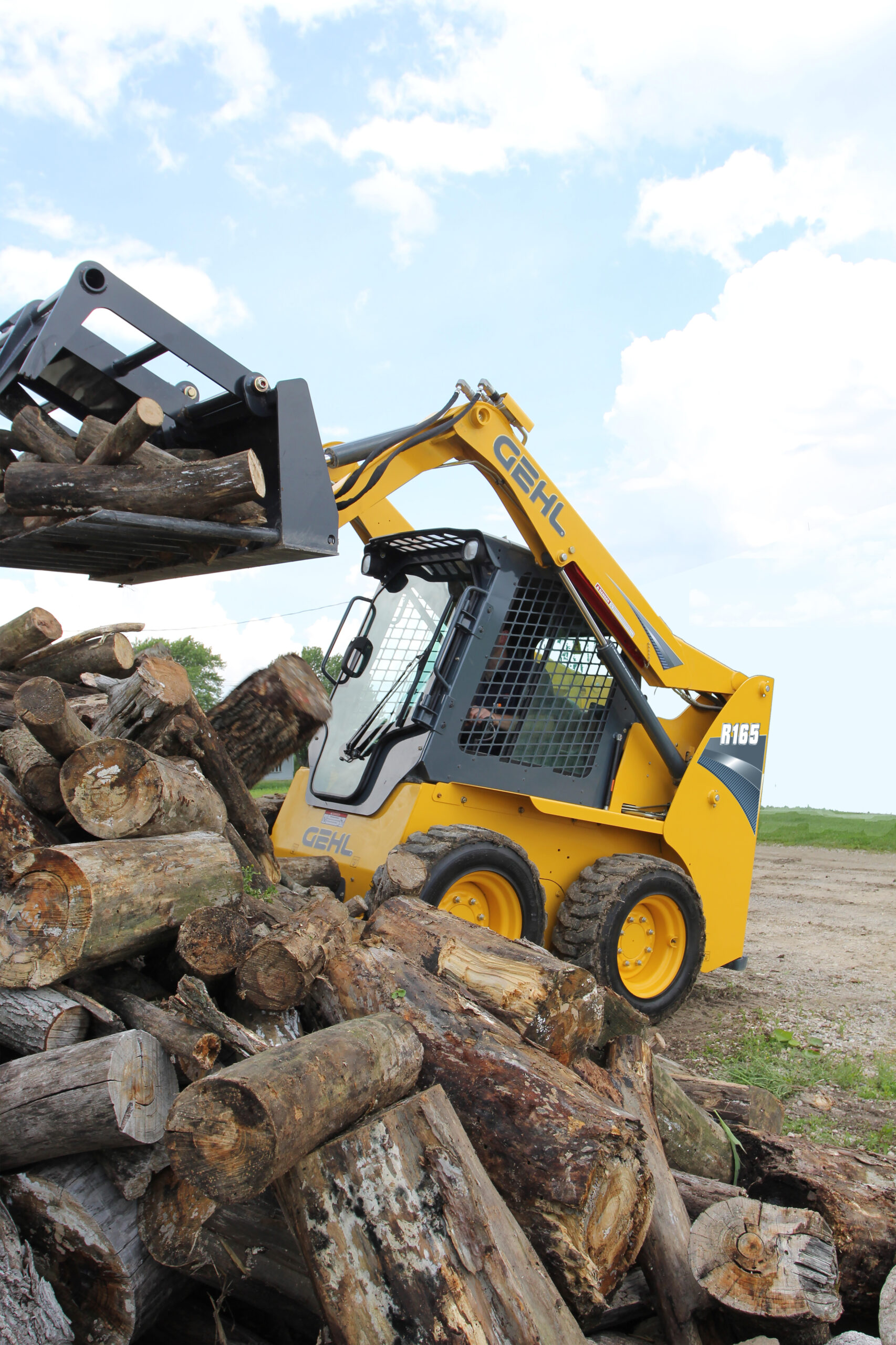 R165_Logs
